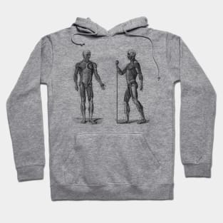 Dual View Human Muscle System - Vintage Anatomy Hoodie